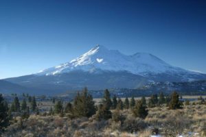 Rabbitbrush, sagebrush shrubland and Juniper woodland with Mount Shasta in background, Mount Shasta Wilderness, California, USA